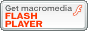 Free Macromedia Flash Player